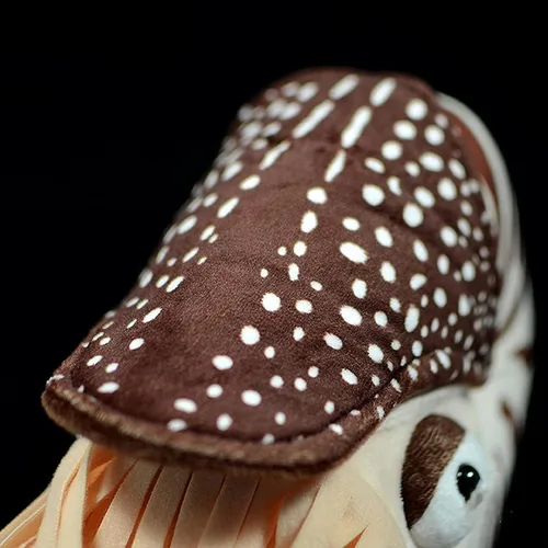 Miniatura 6 de Nautilus - Animal de peluche realista de Nautilus, juguete realista de Nautilus de 8 pulgadas, peluche suave de criaturas marinas modelo Nautilus
