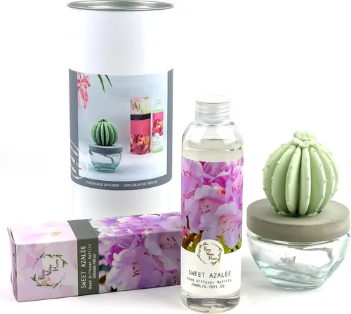 Miniatura 13 de Barril Cactus Cerámica Difusor de Fragancia Combo 6.8 fl oz Hermoso