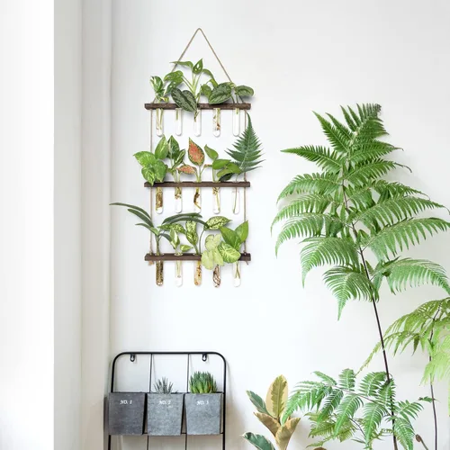 Miniatura 2 de Mkono Tubos de propagación de plantas, terrario colgante de pared de 3 niveles con soporte de madera, mini tubo de ensayo, florero de flores, Marrón