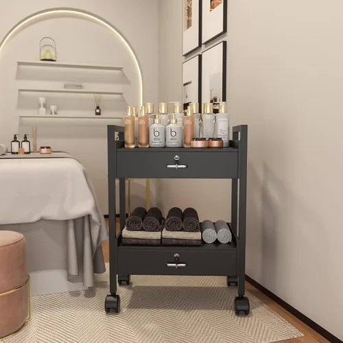 Miniatura 3 de Carrito de gabinete de belleza para salón, carrito rodante de almacenamiento de 2 niveles, organizador de cajones con ruedas, herramientas
