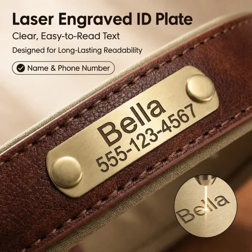 Miniatura 3 de Collar de cuero para perro personalizado y juego de correa, personalizado con diseño acolchado suave y resistente con placa de nombre grabada