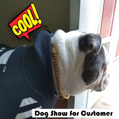 Miniatura 2 de Collar de cadena para perro con cierre de circonita de 0.472 in, cadena de eslabones cubanos de oro de 18 quilates, acero inoxidable, collar de lujo