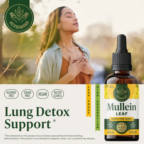 Miniatura 2 de HERBAMAMA Gotas de Gordolobo para los Pulmones - Limpieza Pulmonar Vegana con Extracto de Hoja de Gordolobo, Tintura de Equinácea y Regaliz