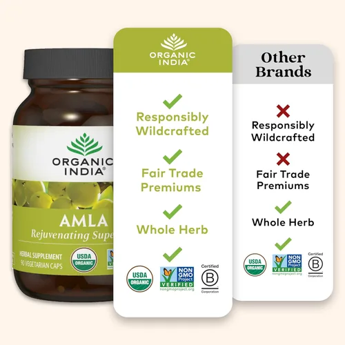 Miniatura 6 de ORGANIC INDIA Amalaki Suplemento vitamínico a base de hierbas, apoyo inmunológico, vitamina C, vegano, sin gluten, kosher, ayurvédico, antioxidante
