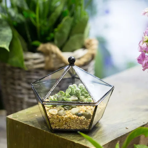 Miniatura 2 de NCYP Terrario geométrico de vidrio pequeño, contenedor cerrado en caja de joyas, maceta para suculentas, decoración de jardín para interiores