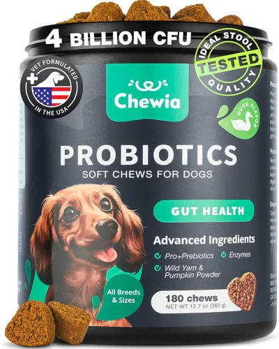 Probióticos para la salud intestinal de los perros, digestión, inmunidad, equilibrio de levadura, piel con picazón, apoyo para alergias -