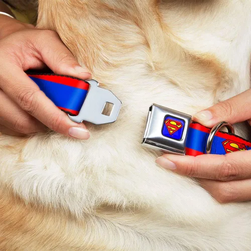 Miniatura 8 de Collar de perro Hebilla de cinturón de seguridad Superman Shield Stripe Rojo Azul 9 a 15 pulgadas 1.0 pulgadas de ancho