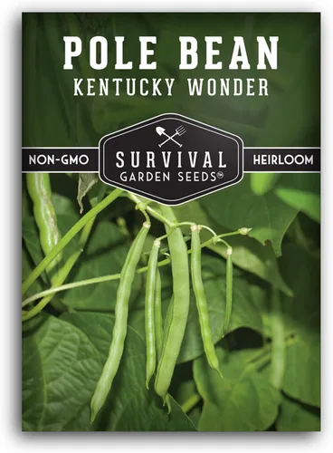 Semilla de judía polera Kentucky Wonder para plantar - 1 paquete con instrucciones para plantar y cultivar judías verdes en tu jardín de hortalizas