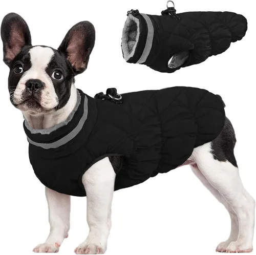 Miniatura 12 de FUAMEY - Chaqueta de invierno para perro, chaleco acolchado con arnés, ropa cálida para mascotas, abrigo con cremallera, impermeable, para perros