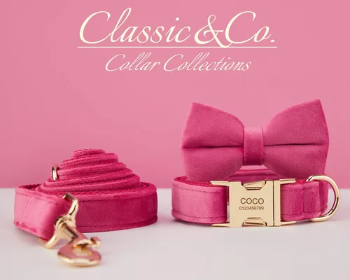 Miniatura 3 de Collares de perro personalizados con hebilla metálica - Collares personalizados con nombre de mascota y número de teléfono para razas pequeñas