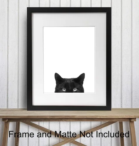 Miniatura 2 de Foto artística de pared de gato negro, impresión única de 8 x 10 pulgadas, moderna, contemporánea, 8 x 10 pulgadas, regalo para animales, mascotas