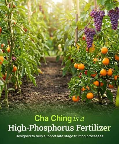 Miniatura 4 de FoxFarm Cha Ching Fertilizante soluble en agua para floración tardía y cosecha - Fertilizante con alto contenido de fósforo 9-50-10, apoya