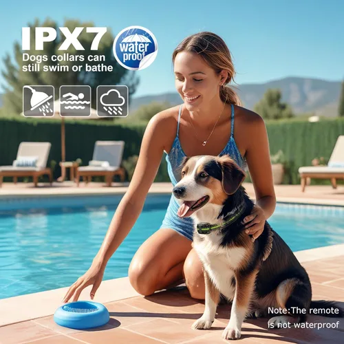 Miniatura 6 de Collar electrónico para perro con control remoto, collar de entrenamiento de perro impermeable de 2600 pies para perros pequeños, medianos