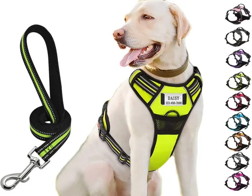 Miniatura 9 de Juego de correa de arnés personalizado sin tirones para perro con nombre y número de teléfono personalizados, chaleco resistente para mascotas