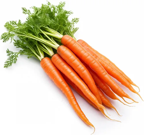 Miniatura 28 de 50 Hale's Best Cantaloupe Seeds for Planting - Sweet Aromatic Heirloom, Non-GMO, USA Grown by RDR Seeds
