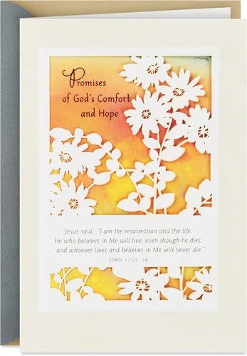 Hallmark DaySpring - Tarjeta de condolencia religiosa (Consuelo y esperanza de Dios)