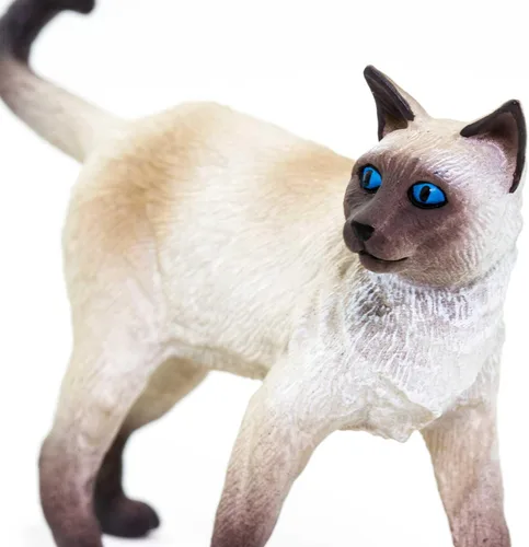 Miniatura 6 de Safari Ltd. Figura de gato siamés – Figura detallada de plástico de 3.25 pulgadas – Divertido juguete educativo para niños, niñas y niños a partir