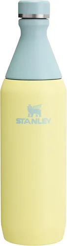 Miniatura 12 de Stanley All Day - Botella delgada de 20 onzas, tapa giratoria con sello a prueba de fugas, diseño delgado para viajes y gimnasio, acero inoxidable