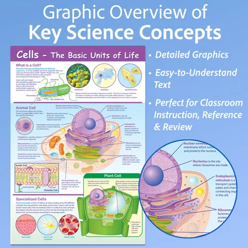Miniatura 2 de NewPath Learning-34-6101 Póster de Células - Laminado, A Todo Color, 23" x 35