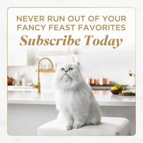 Miniatura 8 de Purina Fancy Feast Medleys Colección de pollo, comida húmeda para gatos, paquete de variedad - (Paquete de 30) latas de 3oz