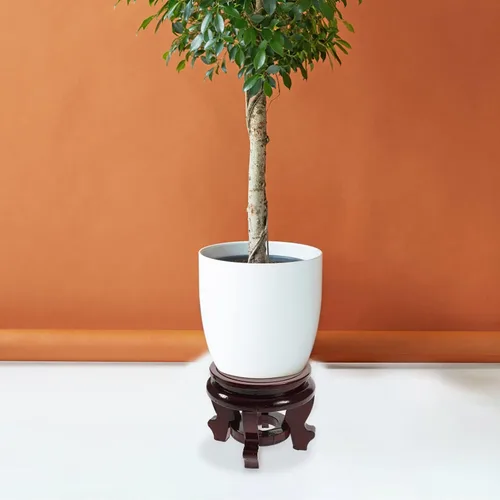 Miniatura 7 de BESTOYARD Base de maceta de madera asiática Soporte de jarrón de madera Soporte para plantas de madera Maceta de madera Plantas suculentas