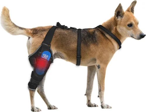 Miniatura 12 de Rodillera para perro para pierna trasera, ajustable, transpirable, con paquetes de gel caliente y frío, soporta perros grandes y medianos