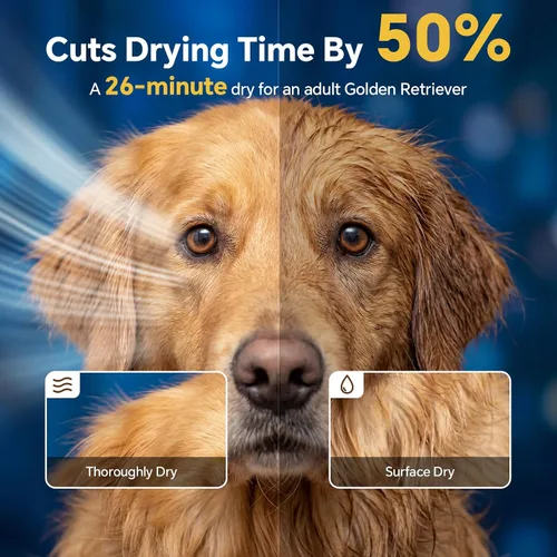 Miniatura 4 de Secador de pelo para perros de alta velocidad 5.2HP/3800W, temperatura ajustable continua, secadora de pelo para perros, secador de pelo