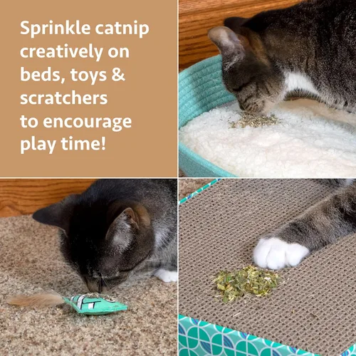 Miniatura 2 de Kitty City Colección Cat Premium Natural Catnip Collection Catnip With Silvervine A) 2 tazas en total - con Silverline (bolsa)