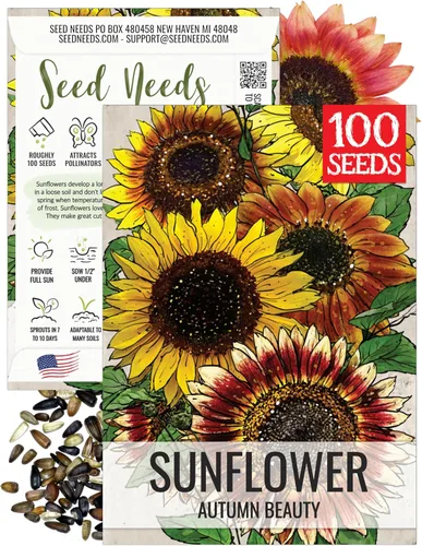 Miniatura 9 de Seed Needs Semillas de girasol para plantar girasoles de manchas solares enanas, semillas de flores de corte anual de polinización abierta