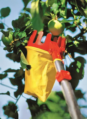 Miniatura 3 de WOLF-Garten RGM Multi-Change - Cabezal de herramienta ajustable para el cuidado de árboles, color rojo