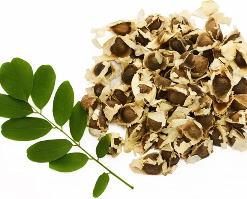Miniatura 8 de 100 semillas de moringa para plantar, semillas de plantas vegetales de Moringa Oleifera para jardinería al aire libre