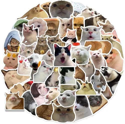 100 calcomanías de gato lindas, divertidas calcomanías de meme de gato, calcomanías de vinilo impermeables para botella de agua, laptop,