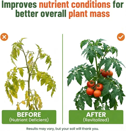 Miniatura 4 de GS Plant Foods Fertilizante Líquido de Kelp – Adecuado para Cultivo Orgánico, Concentrado de Algas Marinas Listado por OMRI para Césped, Jardines