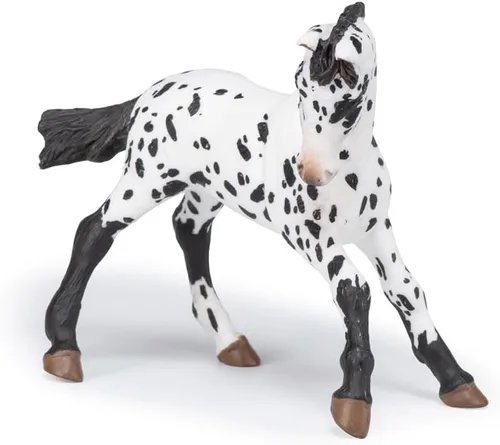 Miniatura 3 de Papo - Figura realista de potro negro Appaloosa - A partir de 3 años - Colección de caballos y ponis - Mundo ecuestre creativo - Juguete de idea