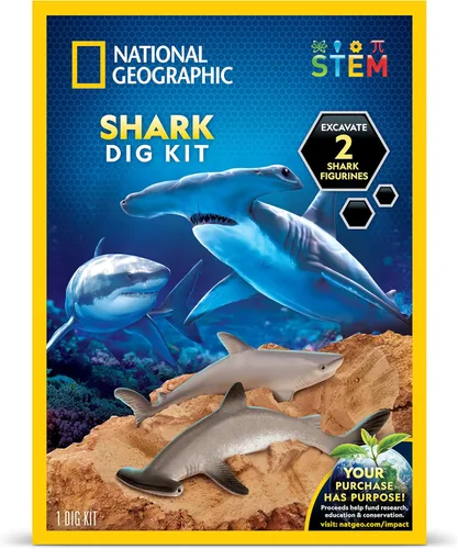 Miniatura 9 de Juego de excavación de fósiles de dinosaurios NATIONAL GEOGRAPHIC y libro de dinosaurios para niños - Excava un fósil de diente de dinosaurio