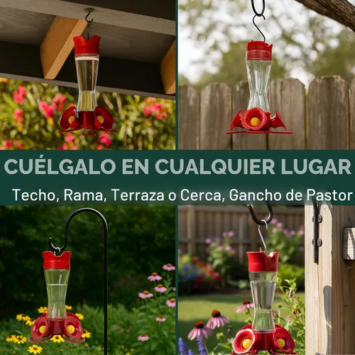 Miniatura 6 de Perky-Pet 203CPBN Comedero de vidrio para colibríes al aire libre con posaderos, foso de hormigas, protectores de abejas - Paquete de 1