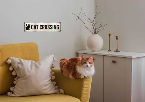 Miniatura 5 de WSUPBPR Divertidos letreros de metal de advertencia de gato cruzado de lata, decoración de pared, barra de cueva, regalo novedoso, animales, gatito