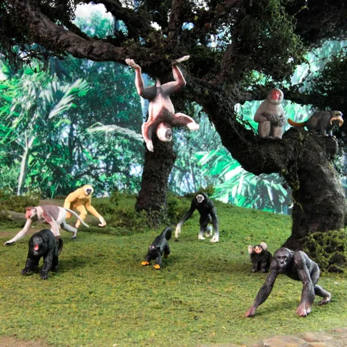 Miniatura 2 de Safari Ltd. Primates TOOB - Figuras de varios monos - Divertido juguete educativo para niños, niñas y niños a partir de 3 años