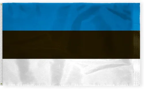Miniatura 9 de AGAS - Bandera de Estonia de 5 x 8 pies, nailon 200D, 6 agujas cosidas, dobladillo con mosca, nunca se oxida, ojales de latón, bandera nacional