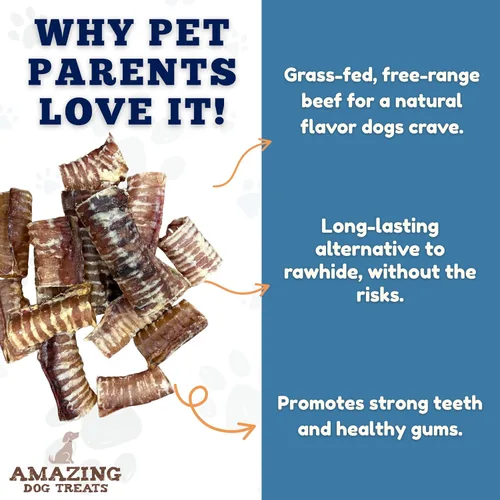 Miniatura 3 de Amazing Dog Treats - Anillos de tráquea de ternera (3-4 pulgadas, 12 unidades) -Masticables prémium para perros- Ideal para perros de tamaño pequeño