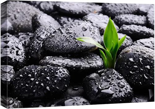 Miniatura 20 de Wall26 - Arte de pared estampado en lienzo con diseño de rocas negras en un lago tropical verde sereno, naturaleza floral, fotografía, realismo