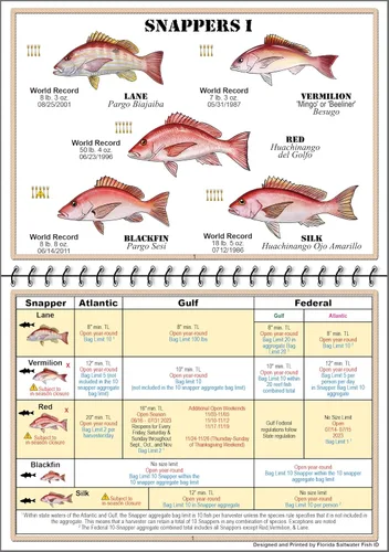 Miniatura 2 de Libro de Identificación de Peces de Agua Salada de Florida con Reglas, Regulaciones, Límites y Tamaños de FWC, Incluye Más de 90 Fotografías Marinas