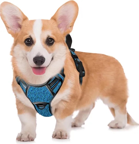 Miniatura 82 de BARKBAY Arnés para Perro Sin Tirones Talla Grande Arnés Reflectante para Perro con Clip Frontal y Asa de Control Fácil para Caminar Entrenar Correr