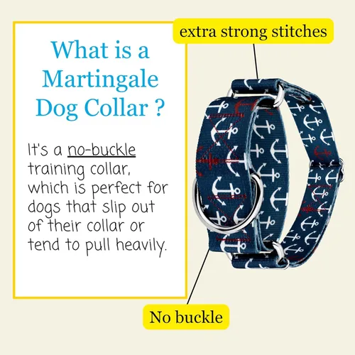 Miniatura 3 de Country Brook Petz HossFit Jr - Collar ancho Martingala para perro, colección Summer Breeze con diseños soleados (Anchors Away, M)
