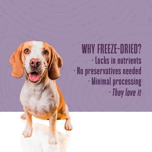 Miniatura 5 de Whole Life Dog Just One - Golosinas liofilizadas para perros, alimentos liofilizados de grado humano, alimentos ricos en proteínas, aperitivos
