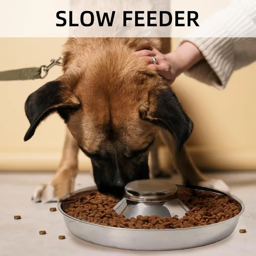 Miniatura 4 de Paquete de 2 cuencos de acero inoxidable para cachorros, comedero para múltiples mascotas, comida para perros y agua, destete de alimentación