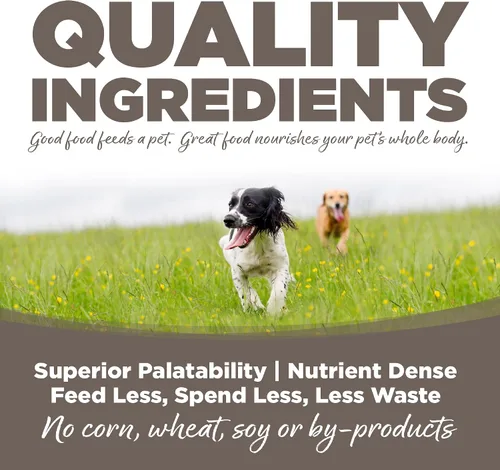 Miniatura 4 de NutriSource Alimento seco para perros mayores, pollo y arroz, 4 libras