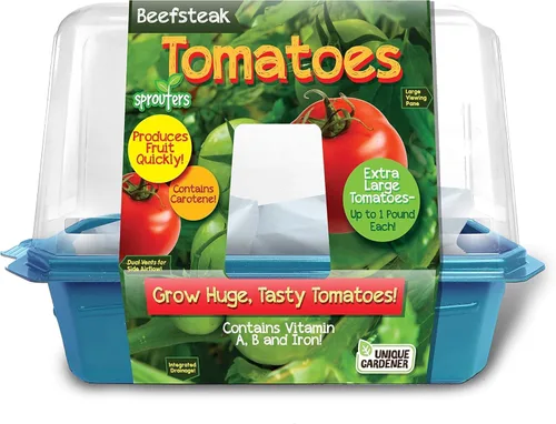 Miniatura 5 de Toys by Nature - Terrario de brotes de plátanos para interiores, suministros completos para cultivar mini plátanos comestibles en casa, las plantas