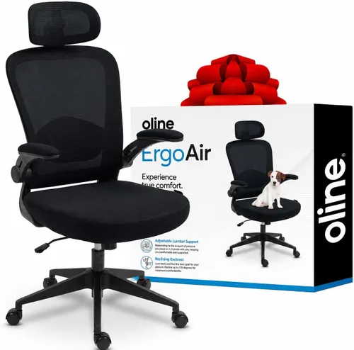 Oline ErgoAir - Silla ergonómica de oficina, soporte lumbar ajustable, reposabrazos abatibles, silla de escritorio de malla para computadora, silla