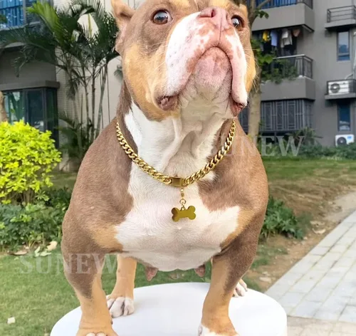 Miniatura 3 de SUNEW Collar para caminar con diseño de placa de identificación de perro con hebilla segura, collar de cadena de eslabones cubanos resistente a